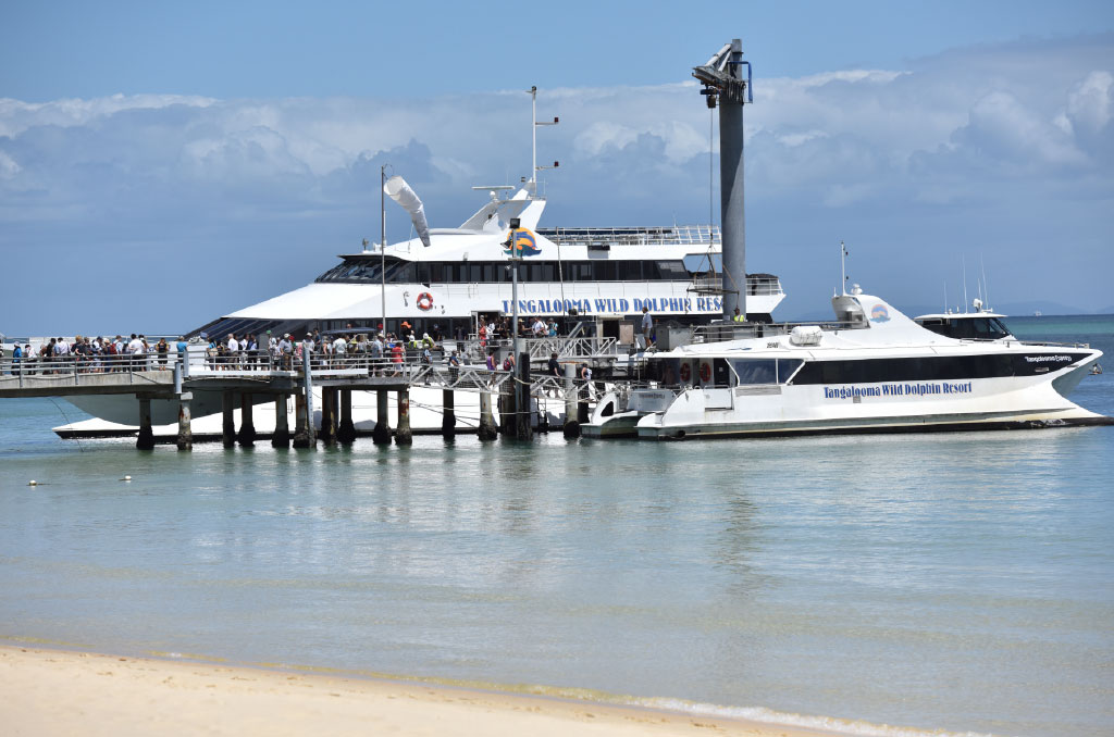 day cruise on tangalooma
