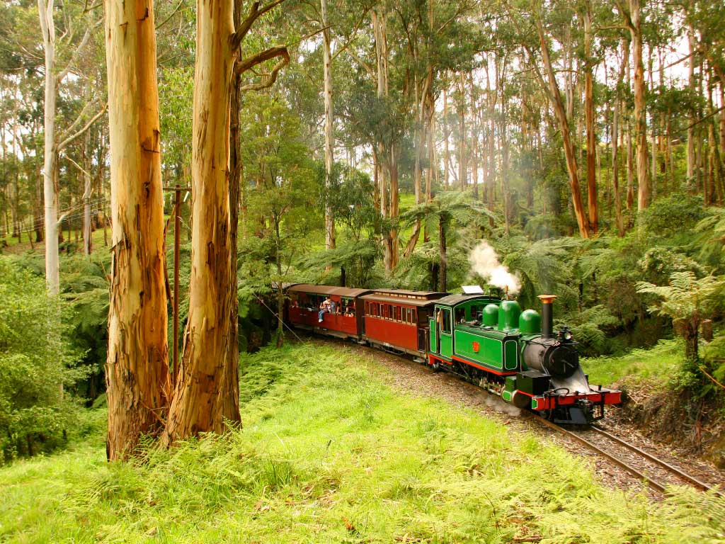 puffing billy tour